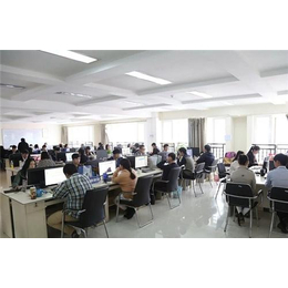 東城淘寶美工與網絡技術服務 專業技術助力電商升級